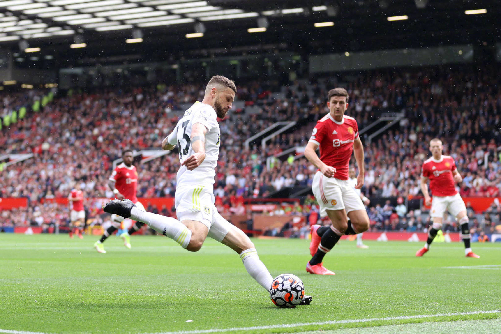 仅仅是指他 仅仅是指他